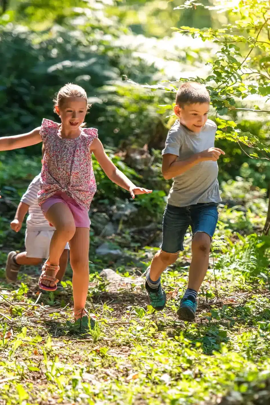 5d98415c5e5fbd1a23372a45c9a6e663ac009b58