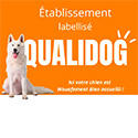 label qualidog