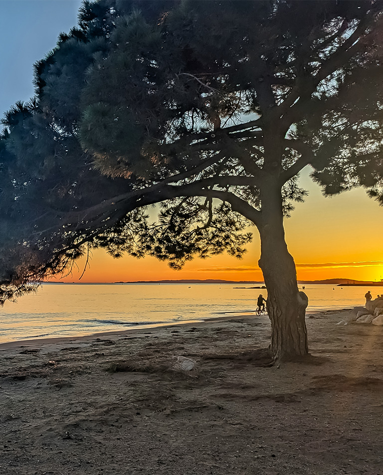 le top des activites a faire a la londe les maures