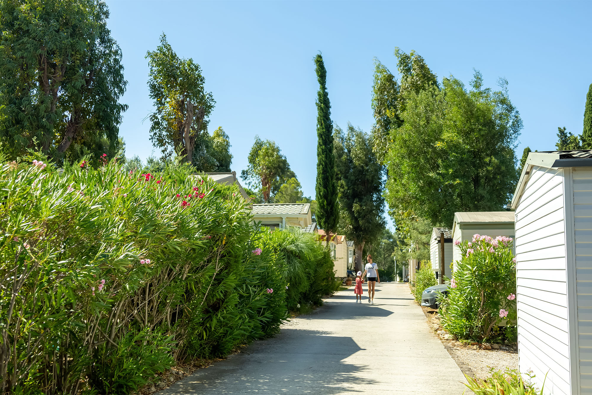 mentions legales camping parc valrose