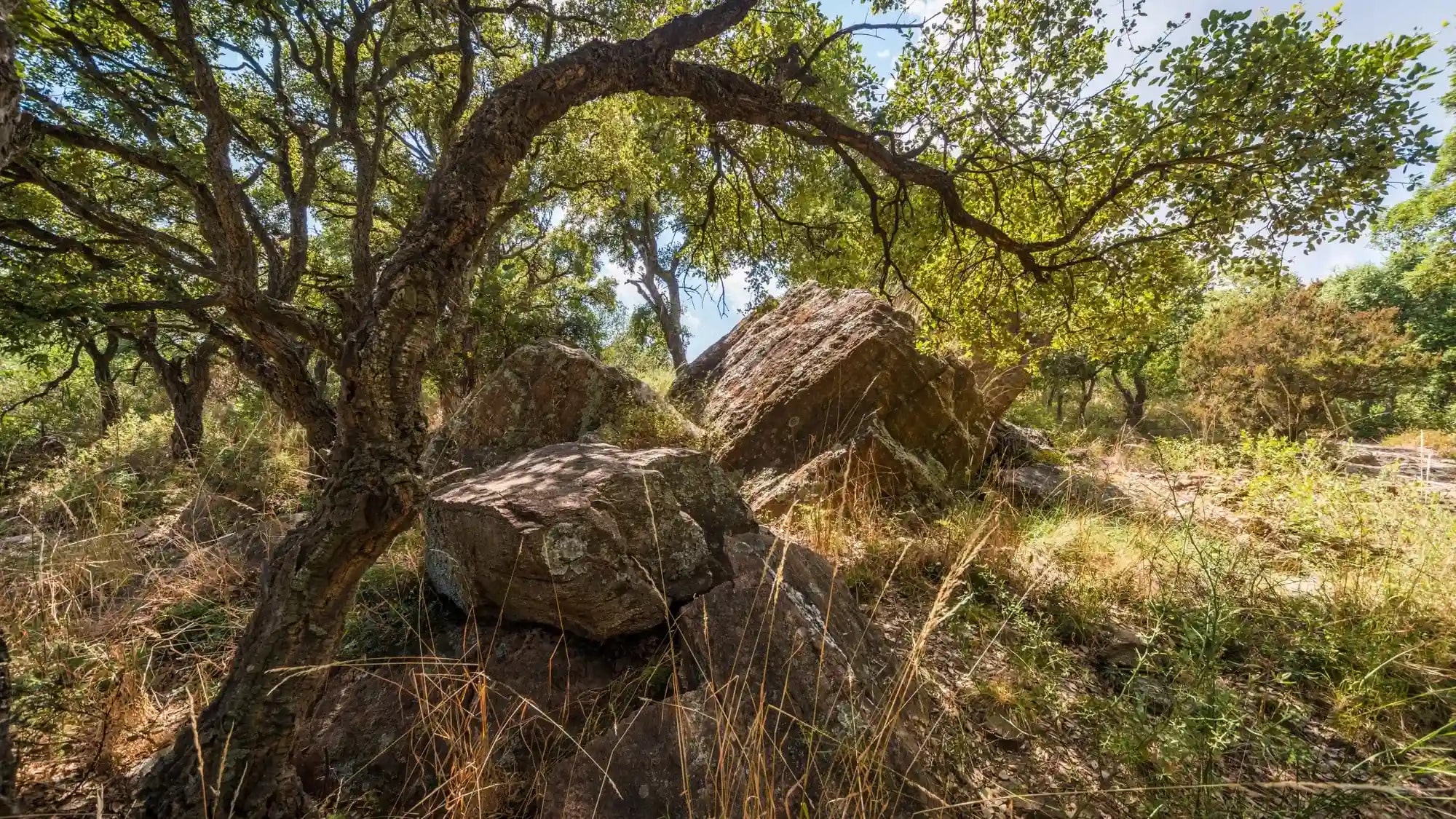 visiter la londe les maures