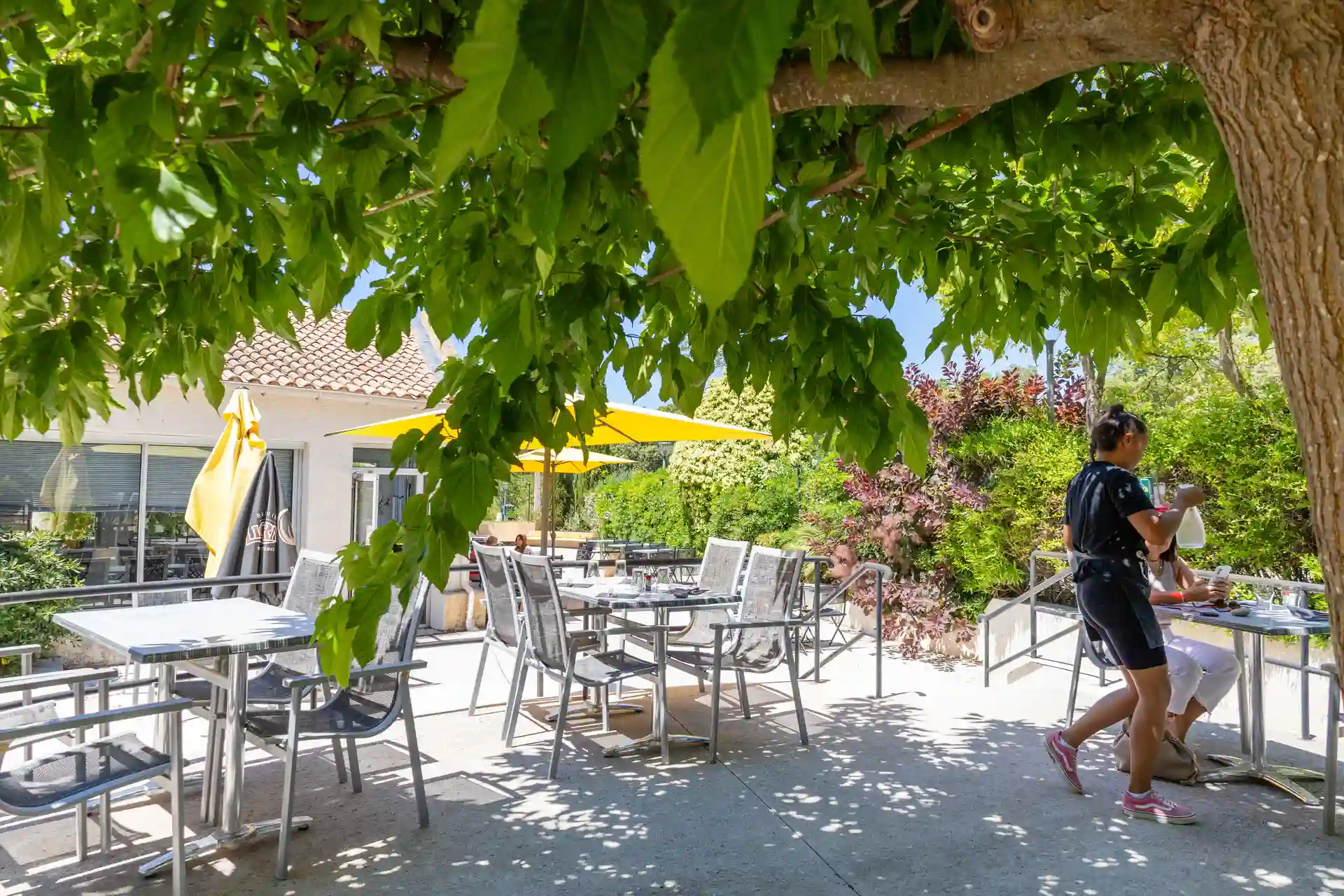 bar restaurant